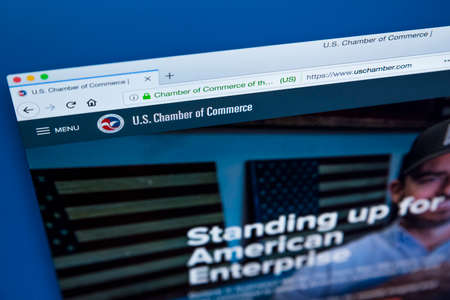 Cyber Liability Claims Process: What to Expect When Filing in the U.S.