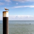 Exploring Bodily Injury and Property Damage Liability Limits by State