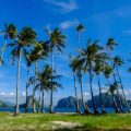 The Ultimate Guide to Travel Insurance for International Trips: What Every American Traveler Needs to Know