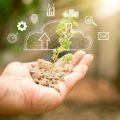 Innovative Partnerships: How Insurers Collaborate for Environmental Impact