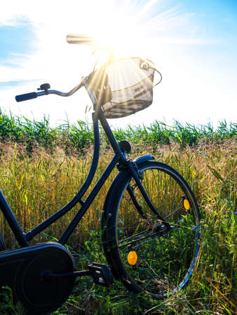 From Premiums to Claims: Understanding the Lifecycle of an Insurance Policy