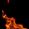 How Renters Insurance Protects Your Personal Belongings from Theft, Fire, and Water Damage
