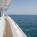 Top Reasons Why Cruise Travel Insurance is a Must for Your Next Vacation