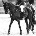 Understanding Riders: Customizing Your Term Life Insurance Coverage