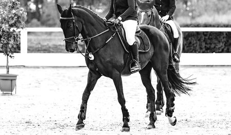 Understanding Riders: Customizing Your Term Life Insurance Coverage
