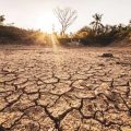 Case Studies: Real Experiences with Floods and Earthquakes in America and Their Insurance Outcomes