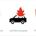 Reading the Fine Print: How to Spot Red Flags and Understand Your Policy’s Limitations