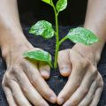 Reinsuring for the Planet: The Role of Reinsurers in Supporting Sustainability