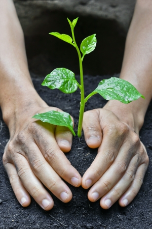 Reinsuring for the Planet: The Role of Reinsurers in Supporting Sustainability