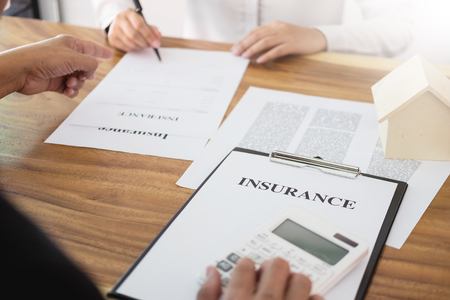 Balancing Benefits and Costs: Out-of-Pocket Expenses in Low-Income Insurance Programs